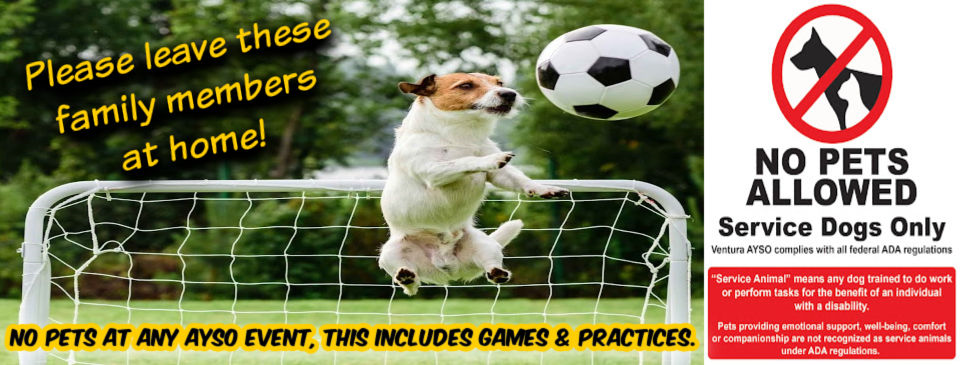 No Pets At AYSO Events